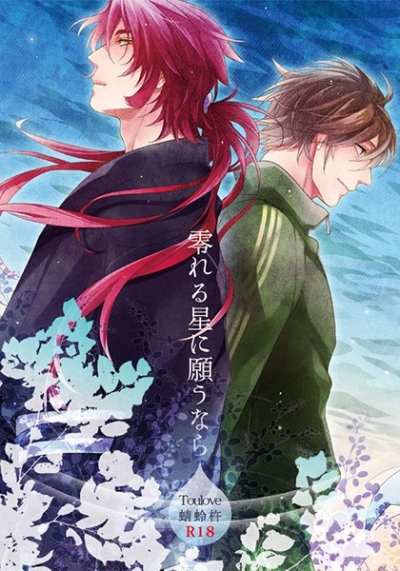 零れる星に願うなら