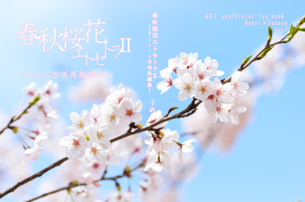 春秋桜花エトセトラ2