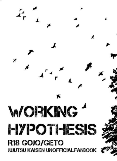 WORKING HYPOTHESIS