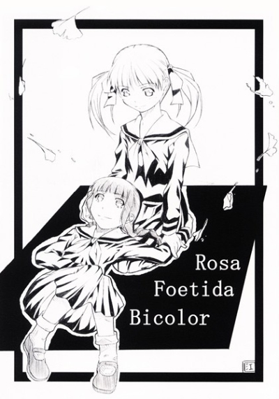 Rosa Foetida Bicolor