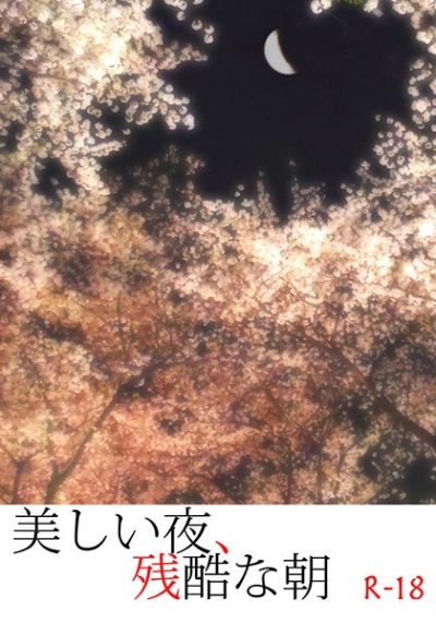 美しい夜、残酷な朝