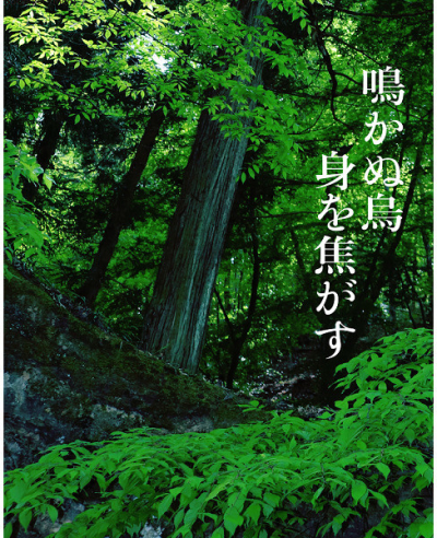 鳴かぬ烏 身を焦がす