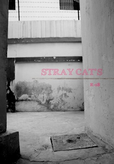 STRAY CAT'S