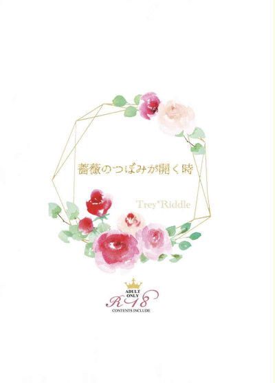 薔薇のつぼみが開く時
