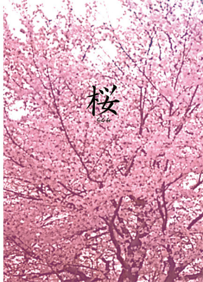 桜