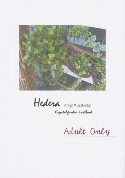 Hedera