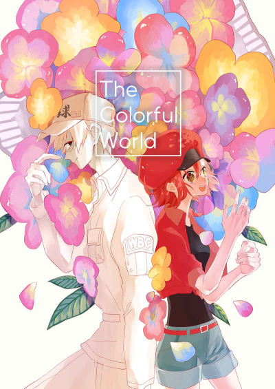 The Colorful World