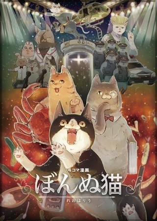 ぼんぬ猫