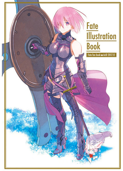 Fate Illustration Book