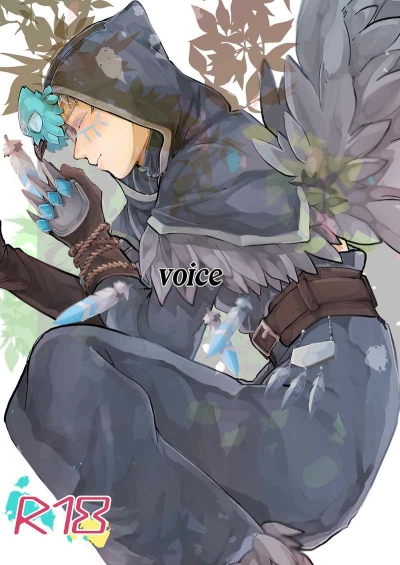 Voice