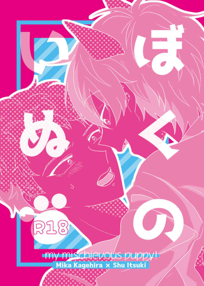 Bokunoinu