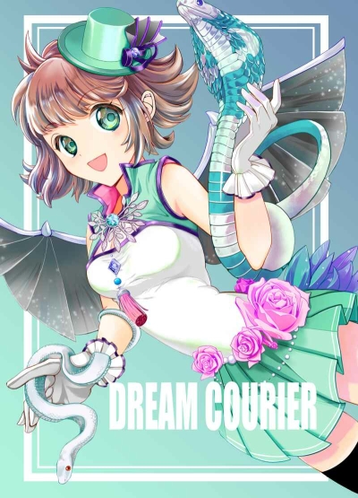 DREAM COURIER