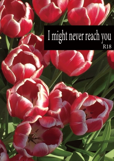 I might never reach you