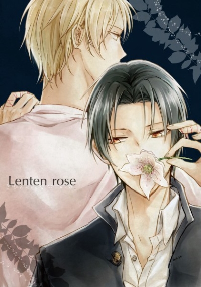 Lenten rose