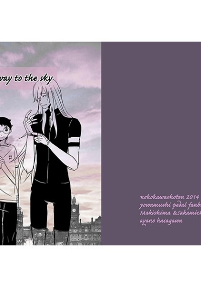 On the way to the sky