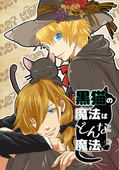 黒猫の魔法はどんな魔法?