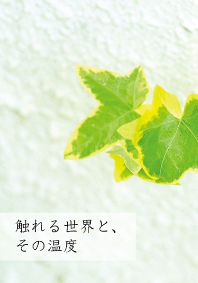 触れる世界と、その温度