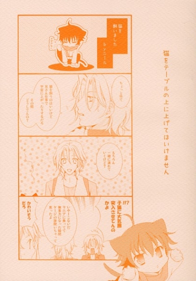 Neko Wo Teburu No Ueni Age Tehaikemasen