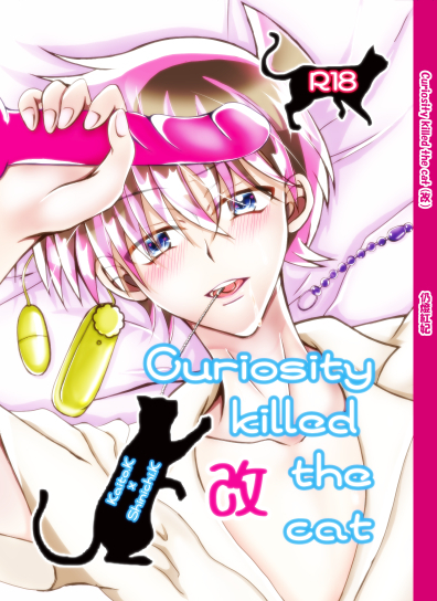 Curiosity killed the cat(改)