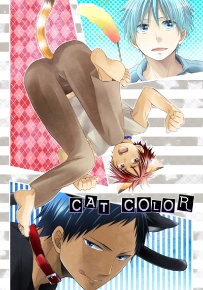 CAT COLOR