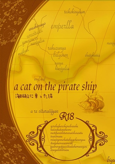 海賊船に乗った猫