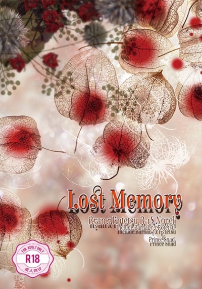Lost Memory