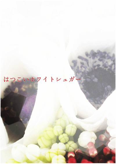 はつこいホワイトシュガー