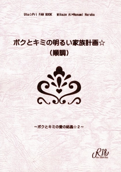 ボクとキミの明るい家族計画☆(順調)～ボクとキミの愛の結晶☆2～