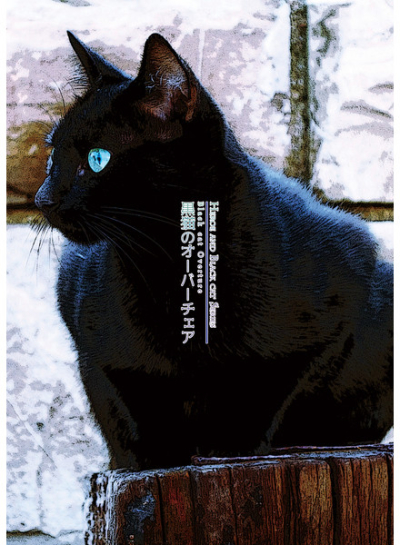 黒猫のオーバーチェア