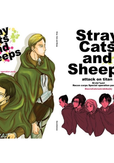 Stray Cats and Sheeps