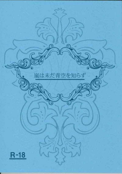 嵐は未だ青空を知らず