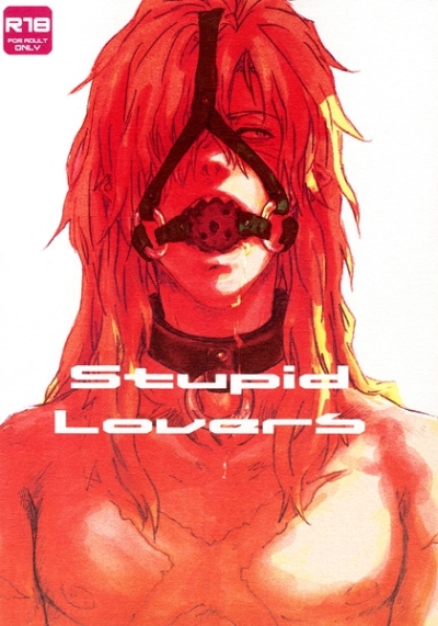 Stupid Lovers