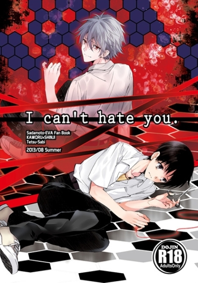 I Cant Hate You